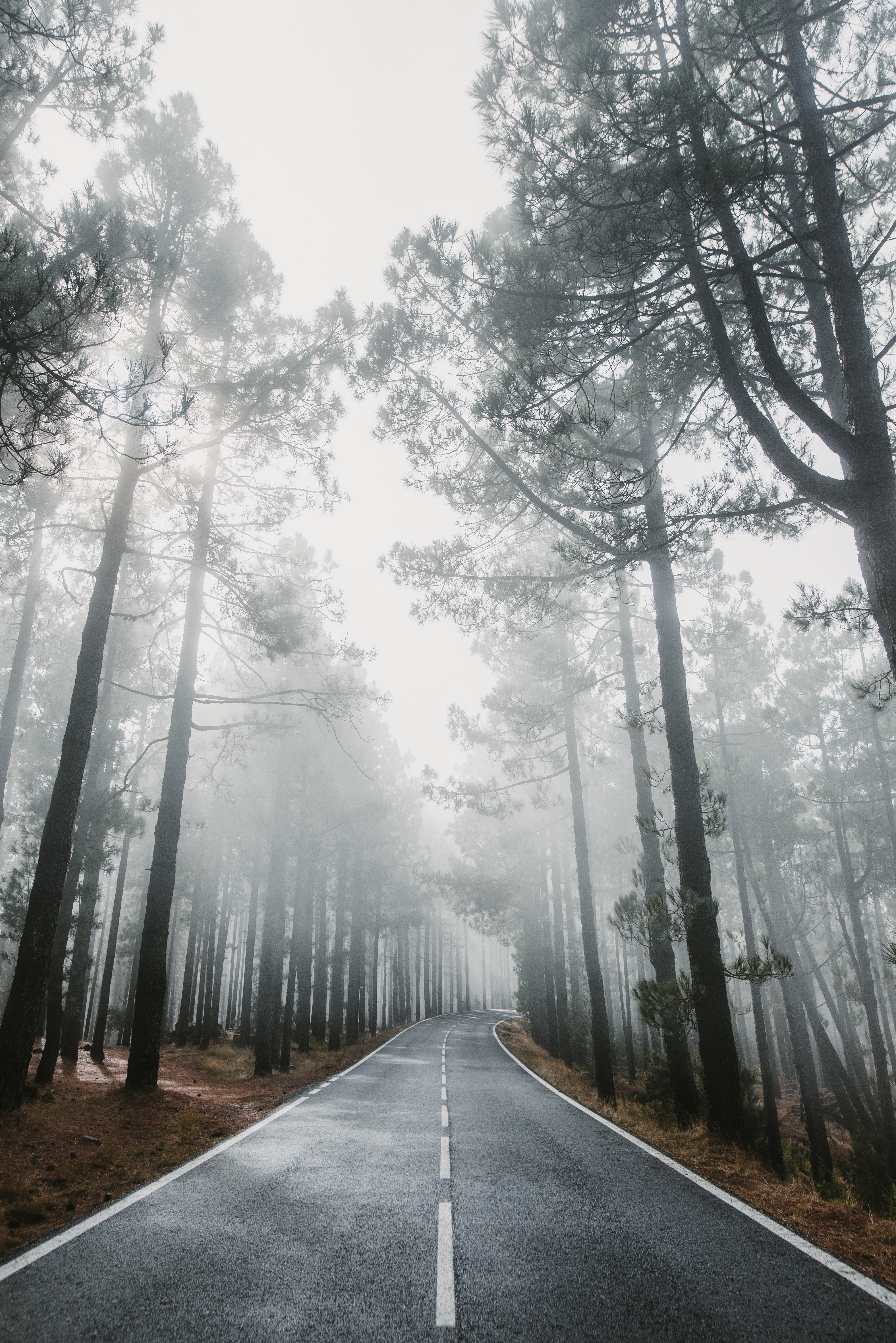 nature